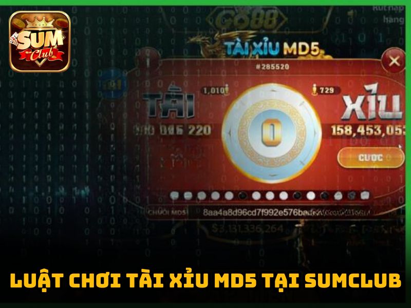 Luật chơi tài xỉu MD5 tại Sumclub